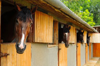 free Pippacott stable construction quotes